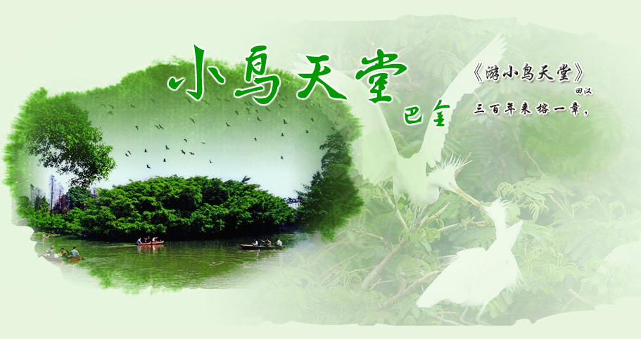 小鳥(niǎo)天堂封面圖