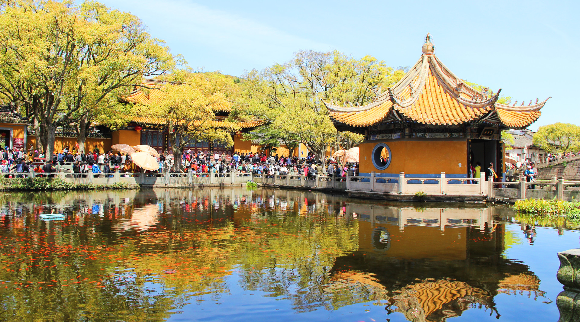 舟山普濟(jì)寺封面圖