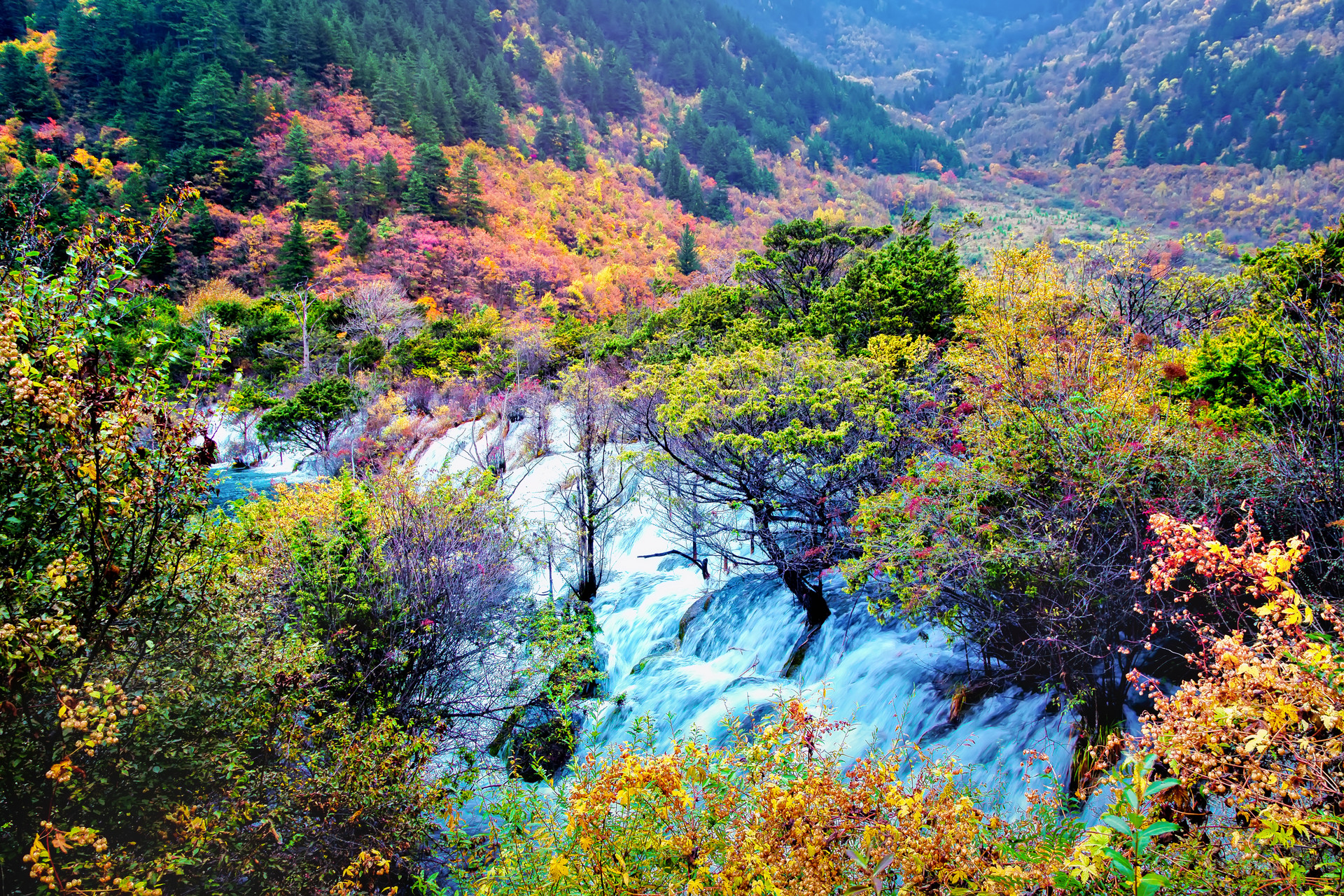 九寨溝風(fēng)景圖1封面圖